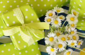 包装纸价格遭遇滑铁卢 文化纸价格为何连连看涨？